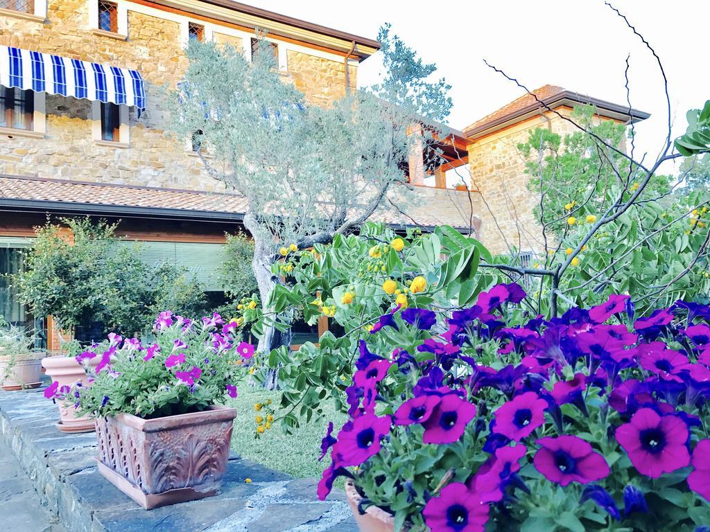 Casa Vacanze Il Cenito Castellabate Luaran gambar