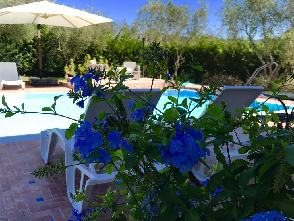 Casa Vacanze Il Cenito Castellabate Luaran gambar