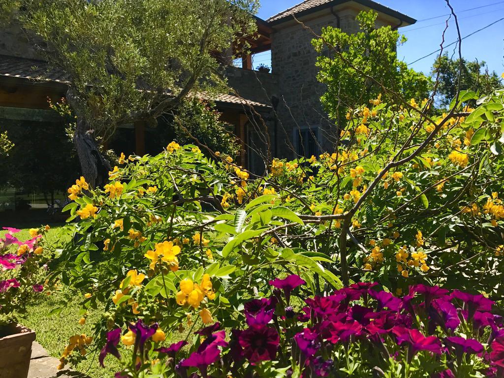 Casa Vacanze Il Cenito Castellabate Luaran gambar
